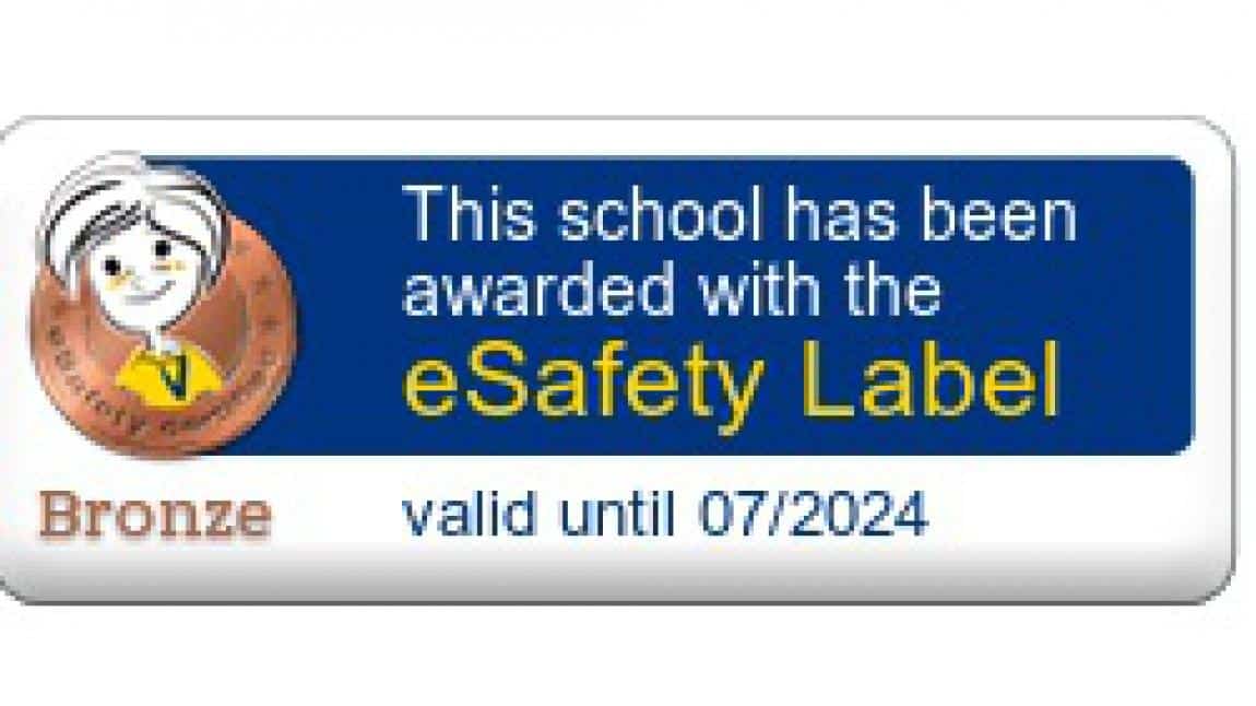 e-Safety Label Etiketi Aldık
